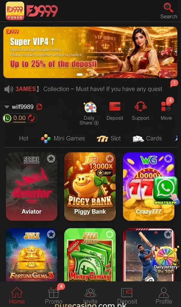 FD999 Game main menu and earnings